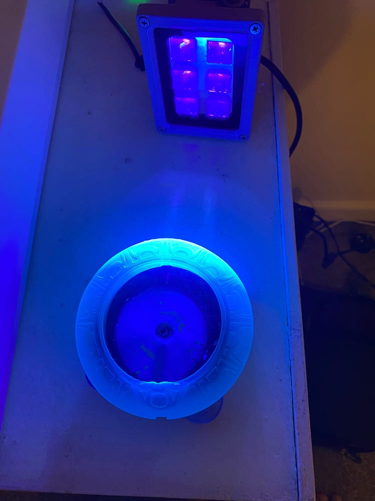 Ring curing under UV light.